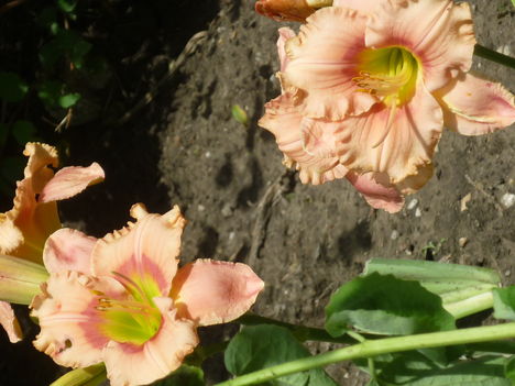 20100717 187