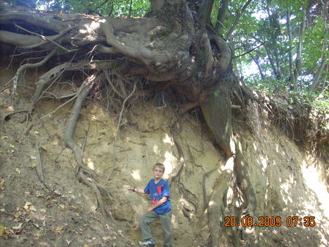 kaposvári szüret 2009 067