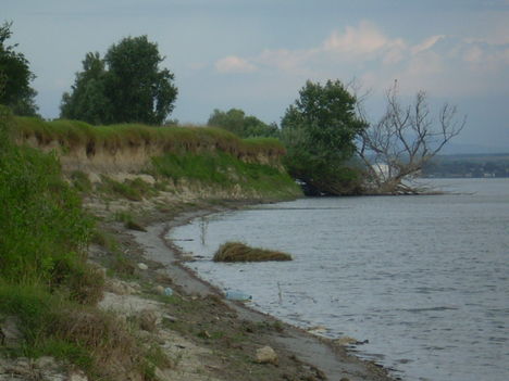 Duna, Nagypartos  3
