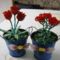 Pici tulipánok és szegfűk