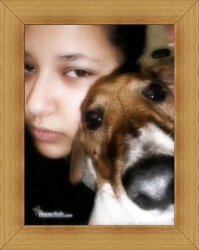 www_tvn_hu_e37d2d7c808be7406814c99ecadbac04