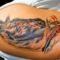 sipos_csaba_20_645288_52632_n