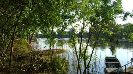 Tisza1 1