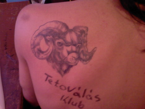 vegyes66 6