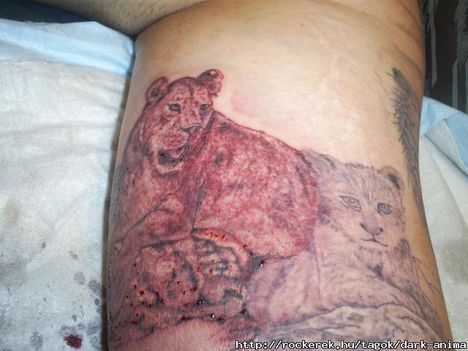 tatto 2