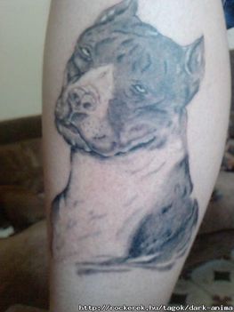 tatto 3