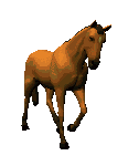 6 18