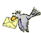 6 1