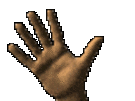 6 6