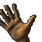 6 6
