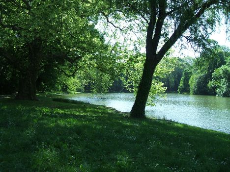 Kastélypark2