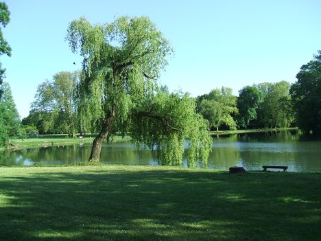 Kastélypark5