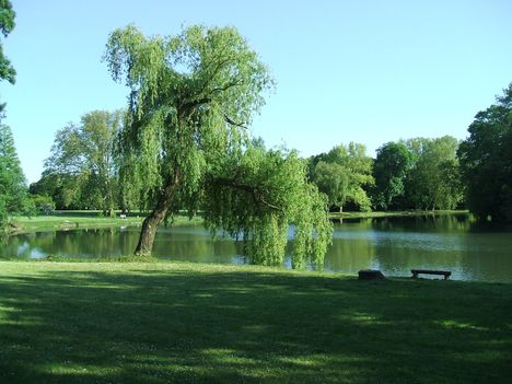 Kastélypark6
