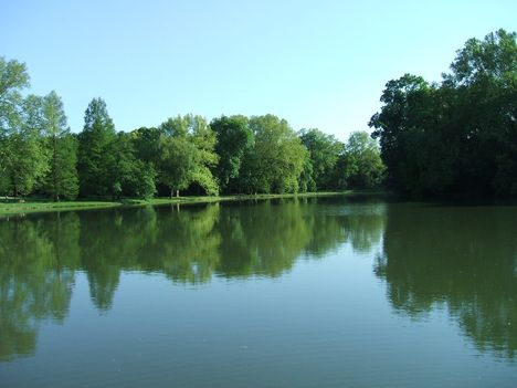 Kastélypark7