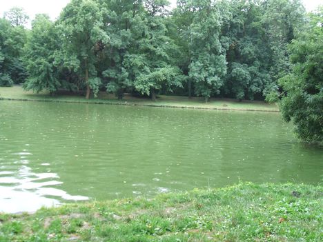 Parkrészlet1