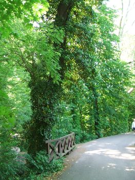 Út a parkban1