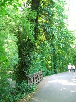 Út a parkban2