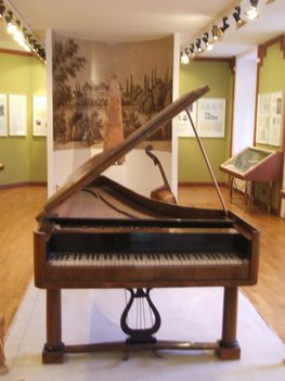 Zongora2