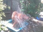 2009060710360858326