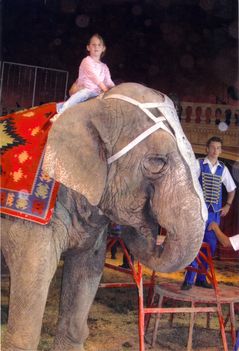 Dorka cirkuszban az elefánt hátán