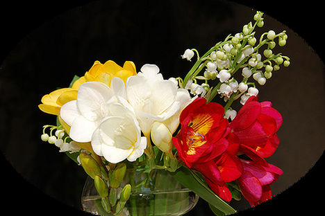 www_tvn_hu_abbd010c6dac460bc3ed69d52e5a77c8