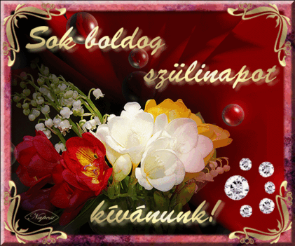 www_tvn_hu_ad86d92bc5aea981ed694d0b4d46eb1a