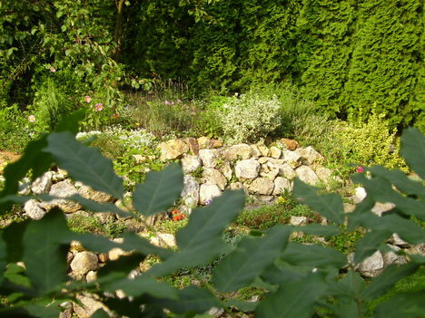 augusztus 21