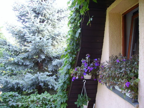 augusztus 29
