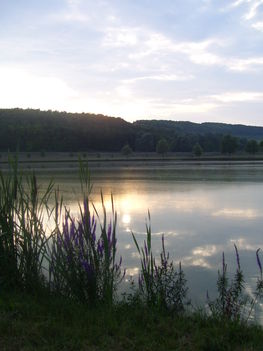 szálkai tó