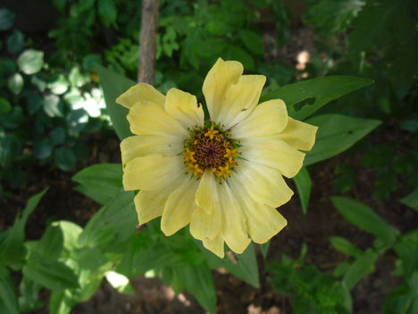 2010  NYÁR 1