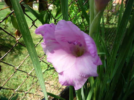 2010  NYÁR 18