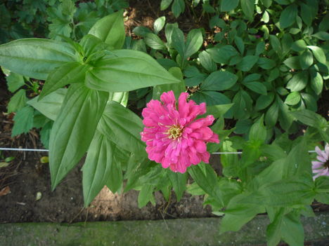 2010  NYÁR 3