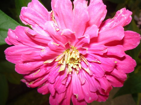 2010  NYÁR 9