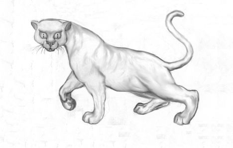 Bagira2