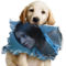 With the Dog