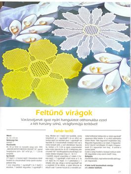 Diana Filéhorgolás No 24 (18)