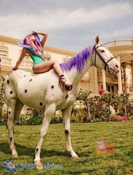 Lady Gaga 689