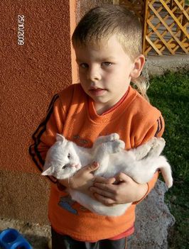 user_11144854_1260101348257_box
