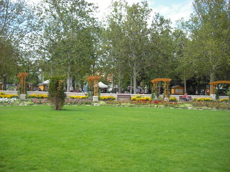 CIMG0441