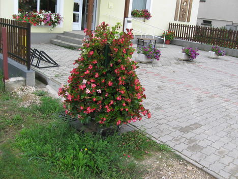 Ház előtt