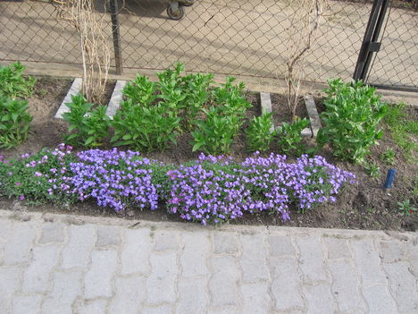Kép 029
