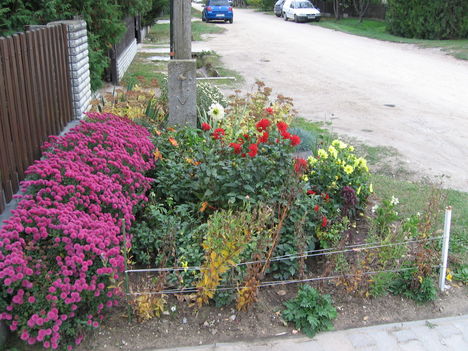 Kép 1068