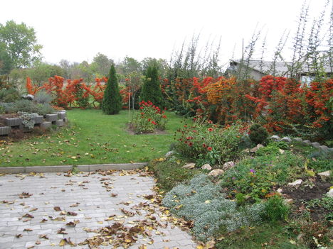 Kép 1070