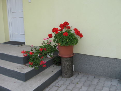 Kép 189