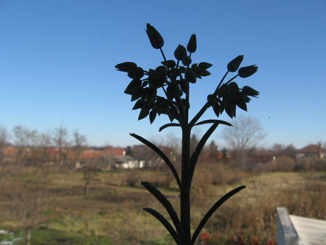 Kép 191 (3)