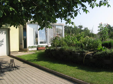 Kép 254