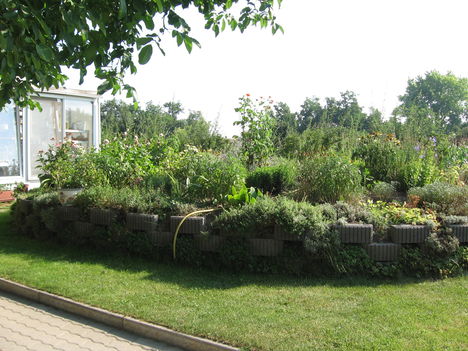 Sziklakert