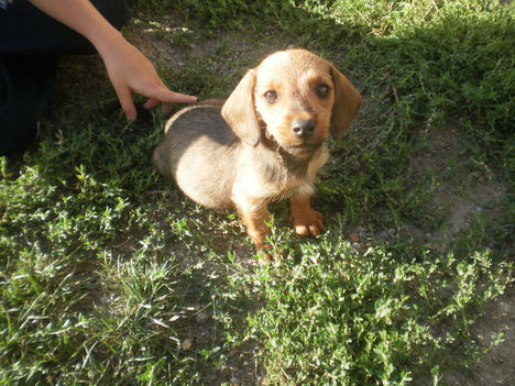 Cuki