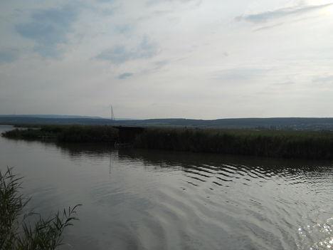 Fertő-tó 3