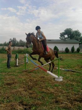 Cimbivel (L)